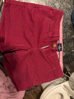 American Eagle Outfitters Women’s Deep Red High Waist Shorts